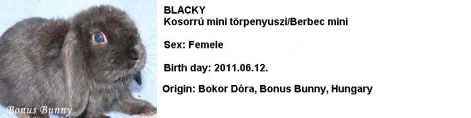 blacky.jpg